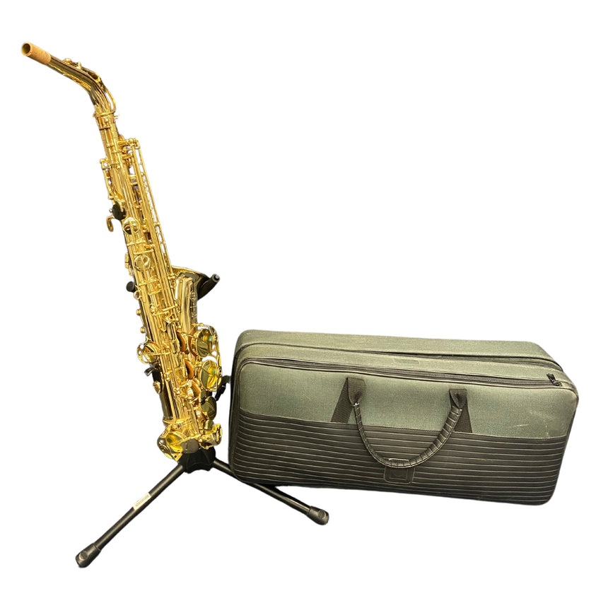 Saxophone Alto Roy Benson AS-115 (utilisé) 