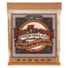 ERNIE BALL Westerngitarren Saitensatz - Akustik Earthwood Phosphor Bronze - Musik-Ebert Gmbh