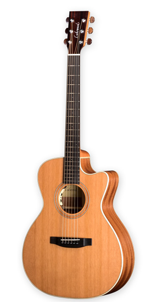 Lakewood M-14 CP Westerngitarre mit Tonabnehmer, Cutaway und Koffer - Musik-Ebert Gmbh