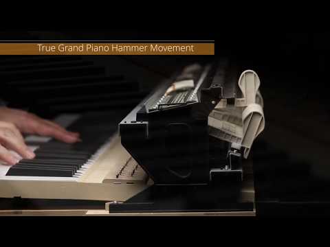 Casio hybrid piano GP-310 Celviano